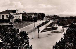 VILA REAL - Jardim Da Estação - PORTUGAL - Vila Real