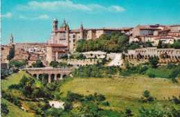 Urbino - Panorama - 5 - Formato Grande Non Viaggiata – FE390 - Urbino