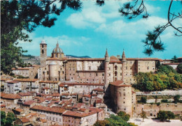 Urbino - Panorama - 10 - Formato Grande Non Viaggiata – FE390 - Urbino