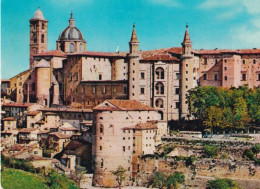 Urbino - Panorama - 17 - Formato Grande Viaggiata – FE390 - Urbino