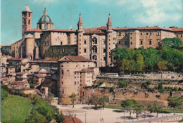 Urbino - Panorama - 17 - Formato Grande Viaggiata Mancante Di Affrancatura – FE390 - Urbino