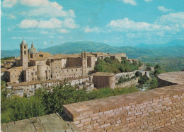 Urbino - Panorama - 72 - Formato Grande Non Viaggiata – FE390 - Urbino