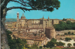 Urbino - Panorama - 76 - Formato Grande Viaggiata – FE390 - Urbino