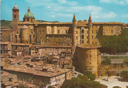 Urbino - Panorama - 12790 - Formato Grande Viaggiata – FE390 - Urbino