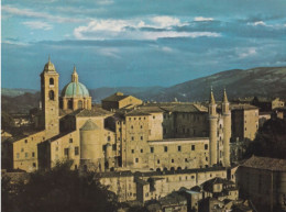 Urbino - Scorcio Panoramico - Formato Grande Viaggiata – FE390 - Urbino