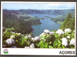 Portugal Entier Postal Açores S. Miguel Lac Volcanique Des Sete Cidade Azores Postal Stationery Volcanic Lagoon Volcan - Vulkanen