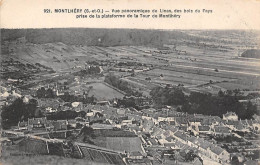 Monthléry            91             Vue Panoramique De Linas         (voir Scan) - Montlhery