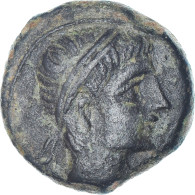 Monnaie, Iberia, Castulo, Semis, 2ème Siècle Av. JC, Castulo, TTB+, Bronze - Keltische Münzen