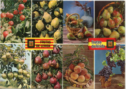 L E R I D A   -- FRUTAS De LERIDA - LOTE De 2 POSTALES  - - Lérida