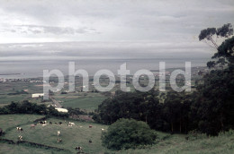 2 SLIDES SET 70s TERCEIRA AÇORES AZORES PORTUGAL ORIGINAL 35 Mm DIAPOSITIVE SLIDE NO PHOTO FOTO NB2575 - Diapositives