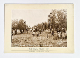 Moura Anos 30 - Fotografias De Zambrano Gomes ( Ed. Comemorativa Da Elevação A Cidade.Camara Municipal De Moura -1988) - Livres Anciens