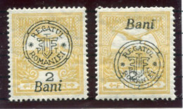 TRANSYLVANIA 1919 Overprint Type II On Turul 2 F. Normal And Misplaced Overprint  MNH / **.  Michel 13 II - Siebenbürgen (Transsylvanien)