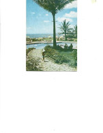 Mozambic- Postcard Unused  -  Maputo - Polana Hotel - Swimming Pool - Mozambique