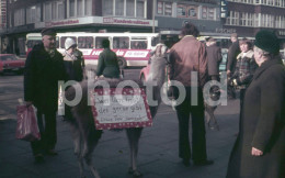 70s CIRCUS ANIMAL LHAMA STREET SCENE GERMANY ORIGINAL 35mm DIAPOSITIVE SLIDE NO PHOTO FOTO NB2591 - Diapositives