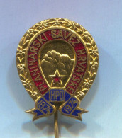 Alpinism Mountaineering - Croatia Federation, Vintage Pin Badge Abzeichen, Enamel - Alpinismus, Bergsteigen