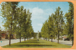 Grand Falls New Brunswick Canada Old Postcard - Grand Falls