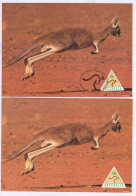 Australia 1994, Combination (Plain PPC & FDC) 45c Kangaroo, Maximum, Maxi Card, Cond., Animal, Some Stains,  - Maximum Cards