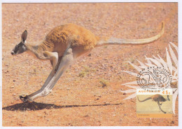 Australia 1994  FDC Cancelled 45c Kangaroo, Maximum, Maxi Card, Cond., Animal, Some Stains,  - Maximum Cards