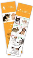 Finland Finnland Finlande 2012 Puppies And Kittens Are Pets Set Of 6 Stamps In Booklet Mint - Ongebruikt