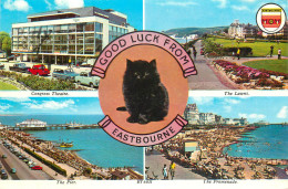 England Good Luck From Eastbourne Multi View Black Cat - Eastbourne