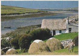 AK147635 IRELAND - Connemara - Galway