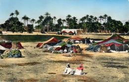 Scenes Et Types Campament Des Nomades - Afrique