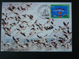 Carte Maximum Card Flamant Rose Pinl Flamingo Europa France 1999 Ref 101993 - Flamants