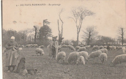 *** ELEVAGE  ***   Au Pays Normand Au Pâturage Timbrée TTBE  - Allevamenti