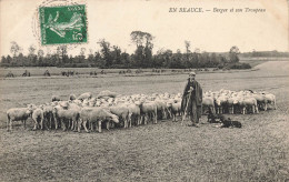 En Beauce * Un Berger Et Son Troupeau * Agriculture - Other & Unclassified