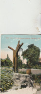 Carte Postale De Saint Agnes Well  Schillings Gardens Oakland 1914 - San Francisco