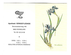 Roeselare Apotheek Pharmacien Verkest Lesage Calendrier 2001 Kalender Htje - Petit Format : 2001-...