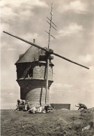 Guérande * Le Moulin à Vent Du Diable * Molen - Guérande