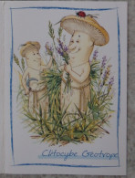 Petit Calendrier De Poche Humoristique 2009 Champignon Humanisé Clitocybe - Pharmacie Malissard Drôme - Petit Format : 2001-...