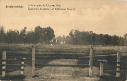 SCHELDEWINDEKE    BOSSCHEN EN WEIDE VAN HET BLAUW KASTEEL        2 SCANS - Oosterzele