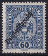 AUSTRIA 1919 - MNH - ANK 239 - Nuevos