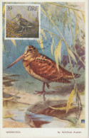 Irlande Carte Maximum 1989 Oiseaux Bécasse 695 - Cartoline Maximum