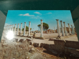 440 //  FAMAGOUSTE / L'ANCIEN GYMNASE DE SALAMIS - Chypre