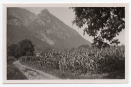 Chemin De La Gare à La Bacholette. Carte Photo - Gresy Sur Isere