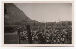 Collines Et Pic De L' Etoile. Carte Photo - Gresy Sur Isere