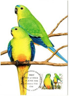 Australia 1998 Endangered Birds,Orange-Bellied Parrot, Maximum Card - Cartas Máxima