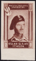 1946 CORPO POLACCO, N° 8Ba 2z. Bruno Cioccolato Scuro CARTA SPESSA (*) - 1946-47 Corpo Polacco Period