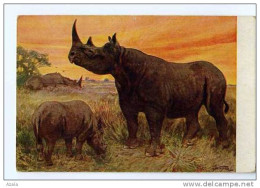 006856  -  Par Illustrateur  -  Les Rhinocéros - Neushoorn