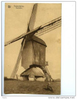 012723  -  TESSENDERLOO  -  Baalmolen - Tessenderlo