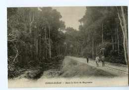 011880 -  Congo  -  Dans La Forêt Du Mayombe - Congo Français