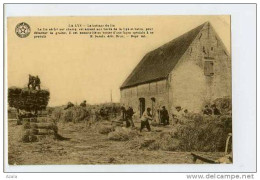 014310  -  La LYS  -  Le Battage Du Lin - Kortrijk