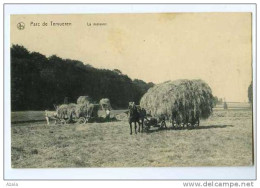 008276  -  Parc De Tervueren  -  La Moisson - Tervuren