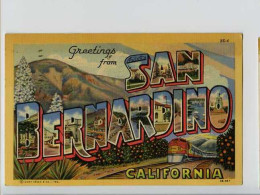 011687/89  -  CALIFORNIA  -  Greetings From SAN BERNARDINO - San Bernardino