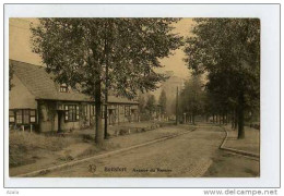 016434  -  Boitsfort  -  Avenue Du Ramier - Watermaal-Bosvoorde - Watermael-Boitsfort