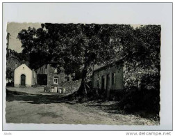 011629  -  Vresse Sur Semois  -  Chemin Montant à La Chapelle - Vresse-sur-Semois