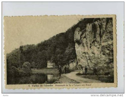 011617  -  Vallée De L'Ourthe  -  Promenade De Sy à Palogne Vers Bomal - Ferrières